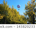 Ginkgo trees and balloons floating in the blue sky 143820233
