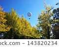 Ginkgo trees and balloons floating in the blue sky 143820234