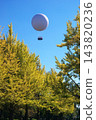 Ginkgo trees and balloons floating in the blue sky 143820236