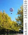 Ginkgo trees and balloons floating in the blue sky 143820239