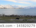 Snow-covered mountains and lakeside scenery, Tekapo, New Zealand 143820279