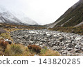 A river landscape with large boulders scattered about - Mount Cook, New Zealand 143820285