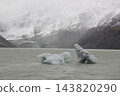 Glacial lake scenery, Mount Cook, New Zealand 143820290