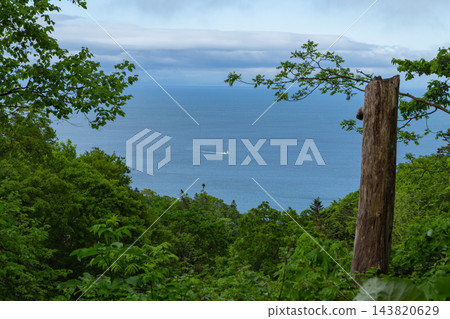 JR室蘭本線小堀站附近(北海道:2022年5月) JR室蘭本線小堀站附近(北海道:2022年5月) 143820629