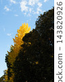 Autumn leaves in parks in Tokyo 143820926