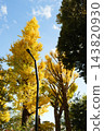Autumn leaves in parks in Tokyo 143820930