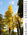 Autumn leaves in parks in Tokyo 143820931