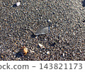 Sea glass, Yuigahama, Kamakura 143821173