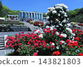 Suma Rikyu Park (Suma Ward, Kobe City): Spring roses adorn the park grounds; a view of the rest house through the fully bloomed roses. 143821803