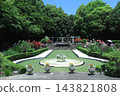 Spring roses adorn the grounds of Suma Rikyu Park (Suma Ward, Kobe City): The "Flower Garden" in the botanical garden area. 143821808
