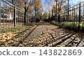 Autumn pedestrian path covered with fallen leaves between metal fences on a sunny day 143822869