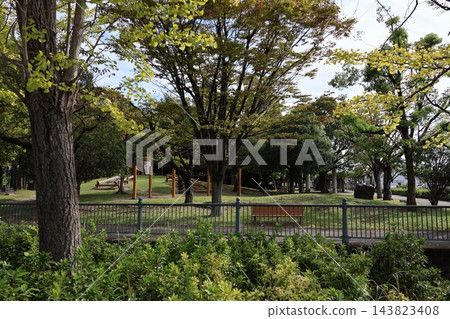 秋日的公園綠意盎然,陽光斑駁地灑落在步道上。 秋日的公園綠意盎然,陽光斑駁地灑落在步道上。 143823408