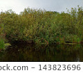 Beautiful landscape with dark forest lake on a cloudy autumn day 143823696