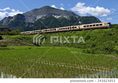 特快列車秩父紅箭經典號穿越武甲山腳下的稻田。 143823853