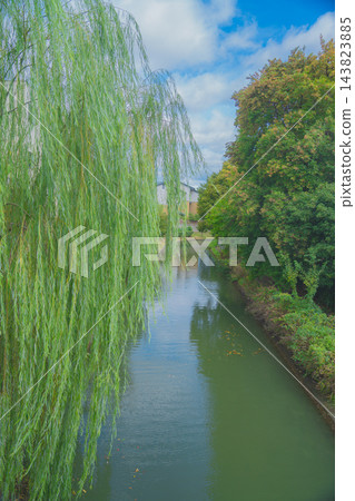 搭乘京都的直黑船遊覽宇治川。 143823885