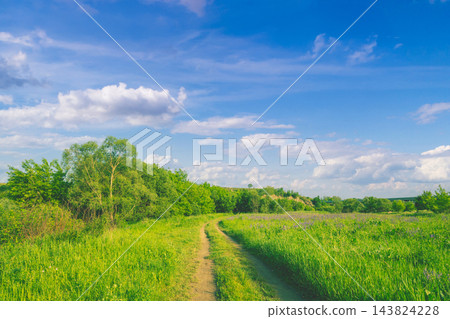 View of beautiful rural landscape on a sunny day in summer. Country dirt road in the field. View of beautiful rural landscape on a sunny day in summer. Country dirt road in the field. 143824228