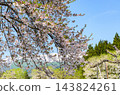 春天從山形縣白鷹市眺望旭山脈。 143824261
