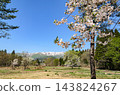 春天從山形縣白鷹市眺望旭山脈。 143824267