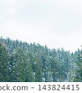 Snow-covered evergreen trees stand tall against a pale winter sky in a serene landscape, creating a tranquil atmosphere during a quiet day in the mountains 143824415