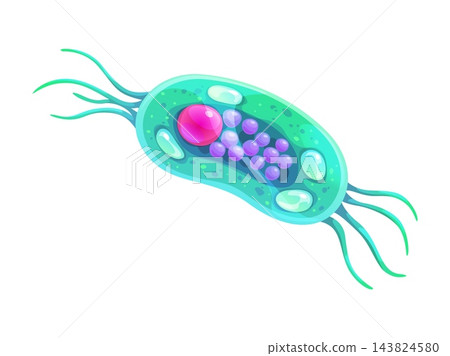 Cartoon cell amoeba with flagella and nucleus, Cartoon cell amoeba with flagella and nucleus, 143824580