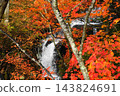 Ryuzu Falls surrounded by crimson autumn leaves - Nikko 129 Ryuzu Falls Autumn Leaves 143824691