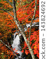 Ryuzu Falls surrounded by crimson autumn leaves - Nikko, October 130 Ryuzu Falls, Autumn Leaves 143824692