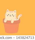 Cute kitten sitting inside a flower pot cartoon character illustration on orange background 143824713