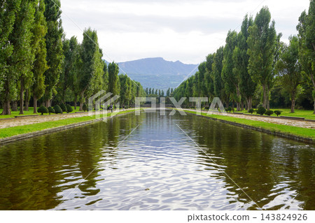 前田森林公園的運河和白楊樹 前田森林公園的運河和白楊樹 143824926