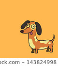 Cute silly dachshund dog cartoon character sticking tongue out on orange background 143824998