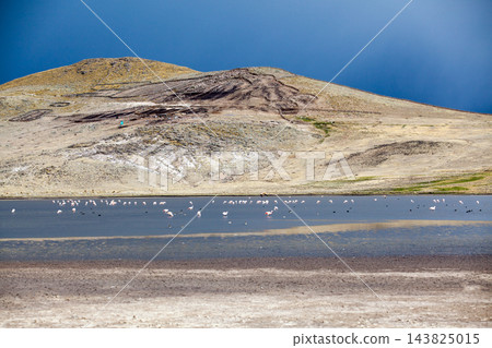 landscape of Arequipa, Peru 143825015