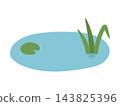 一個簡單的池塘插圖，池塘裡有水生植物和漂浮的樹葉。 143825396