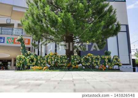 【足立區：Ponte Porta】花卉雕塑 143826548