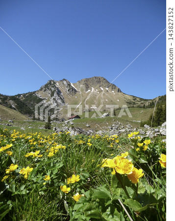 Panorama mountain view to Rotwand mountain, Bavaria, Germany Panorama mountain view to Rotwand mountain, Bavaria, Germany 143827152