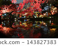 Higo Hosokawa Garden in autumn colors, Bunkyo Ward, Tokyo 143827383