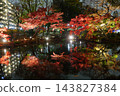 Higo Hosokawa Garden in autumn colors, Bunkyo Ward, Tokyo 143827384