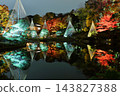 Higo Hosokawa Garden in autumn colors, Bunkyo Ward, Tokyo 143827388