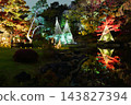 Higo Hosokawa Garden in autumn colors, Bunkyo Ward, Tokyo 143827394