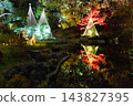 Higo Hosokawa Garden in autumn colors, Bunkyo Ward, Tokyo 143827395