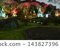 Higo Hosokawa Garden in autumn colors, Bunkyo Ward, Tokyo 143827396