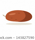 Sweet potato yam root vegetable, autumn harvest food clipart isolated on white 143827590