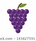 Bunch of purple grapes with green leaf, autumn vineyard fruit clipart isolated on white 143827591