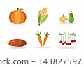 Harvest vegetables set with pumpkin, corn, gourds, sweet potato, carrots and cranberries clipart 143827597
