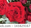 Red Roses with Water Droplets on Petals 143829167