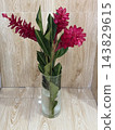 Pink Tropical Flowers in Glass Vase 143829615