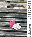 Autumn maple leaves resting on weathered wooden bench with blurred park background and copy space 143829688