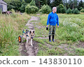 Disabled pets receiving walking support as German shepherd uses rear support cart beside man holding retractable leash during walk. 143830110