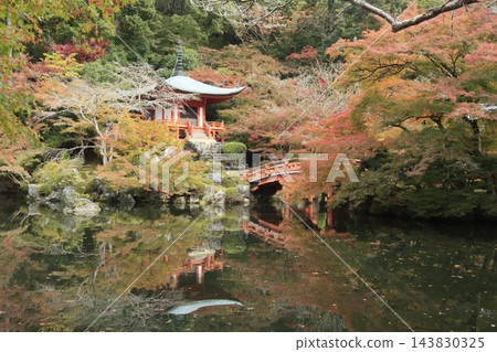 醍醐寺弁天池水面上映照著寺廟建築和秋日樹木的景象。 143830325