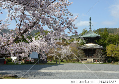 春天的清涼寺:京都市右京區佐賀釋迦堂藤之木町多寶塔 春天的清涼寺:京都市右京區佐賀釋迦堂藤之木町多寶塔 143831287
