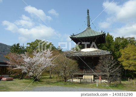 春天的清涼寺:京都市右京區佐賀釋迦堂藤之木町多寶塔 春天的清涼寺:京都市右京區佐賀釋迦堂藤之木町多寶塔 143831290