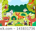 Vector forest animals and birds landscape. Woodland nature detailed scene with bear, fox, deer, wolf, squirrel, owl. Cute wildlife horizontal background or book cover for kids with place for text 143831736